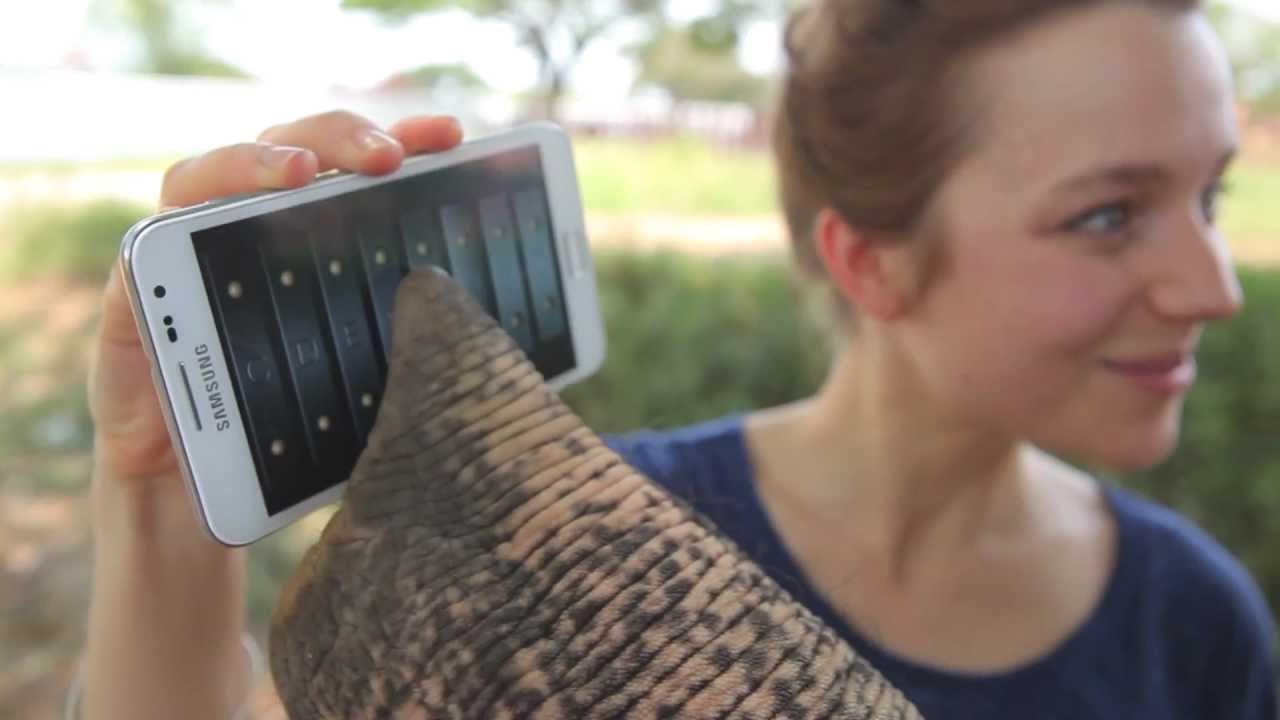 Elephant Plays with a Galaxy Note!