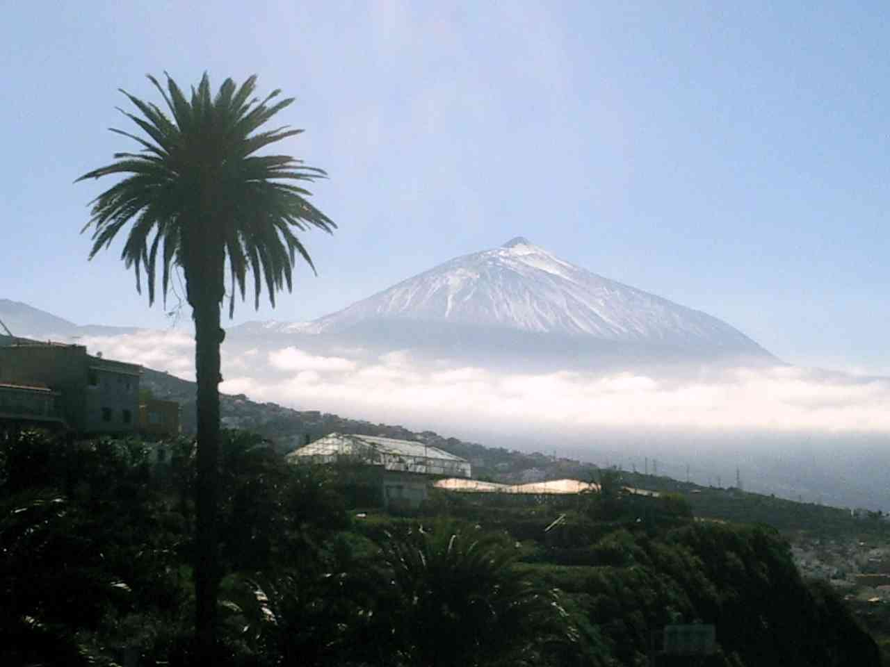 Tenerife, la Isla de las Hespérides 17
