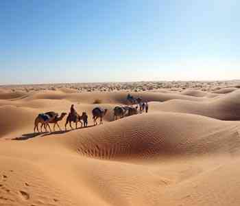 El Sahara, escenarios de películas 15