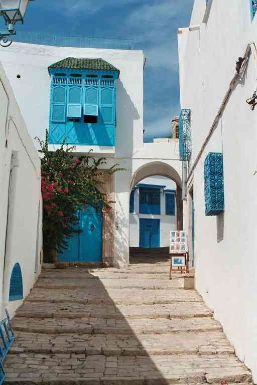 La magia de Sidi Bou Said, la ciudad azul 11