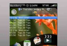 PreBerry - primer tema Palm Pre para BlackBerry Storm 1