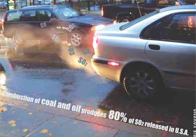 Los gases de los coches son muy nocivos