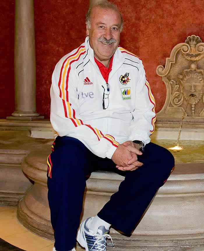 vicente del bosque renueva con la seleccion espanola