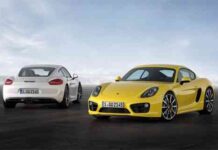 Coche Porsche Cayman 2014 1