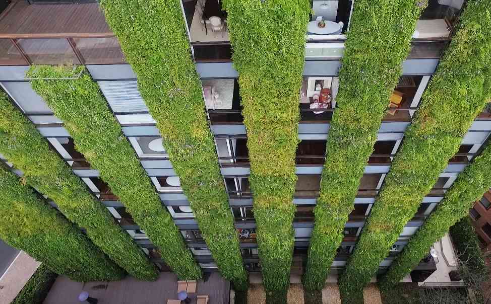 Ignacio Solano diseña y coordina el jardín vertical más grande del mundo 6