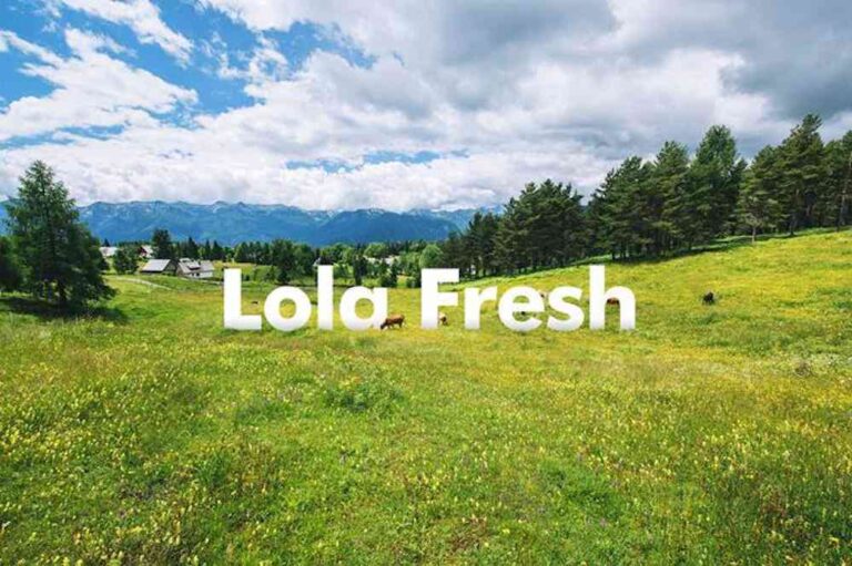 Lola Market se consolida como el mejor fresco a domicilio de Madrid