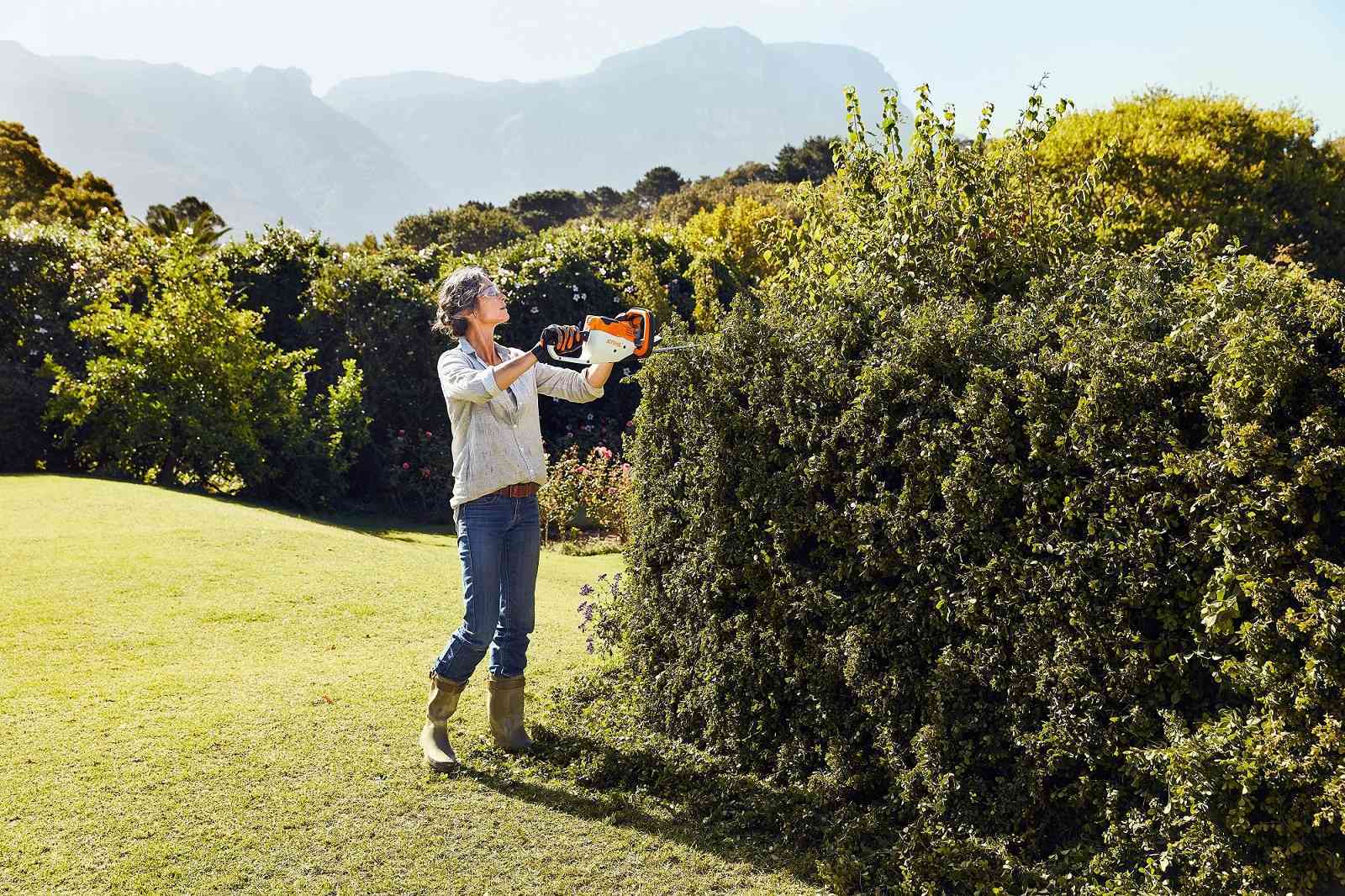 Los mejores cuidados para tu jardín este verano 16