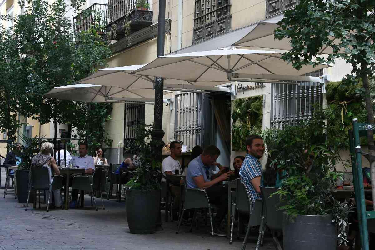 Premios Gato Terrazas Madrid para elegir la mejor terraza de la capital 52