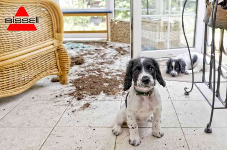 Mantén tu casa limpia y fresca en verano
