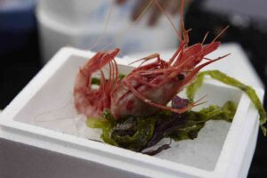 Aclamados chefs se unen a The World's 50 Best Restaurants 13