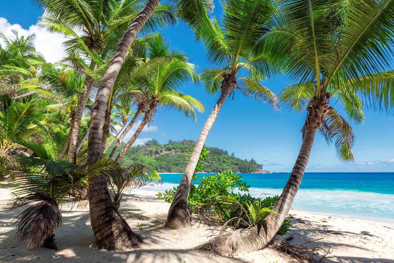 Ocho predicciones sobre los viajes en 2018 según el portal Booking 2