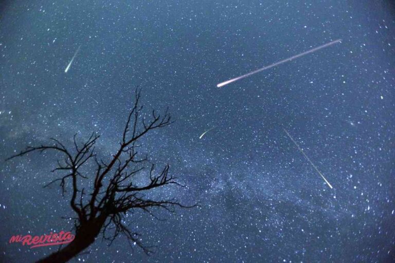 Guía de disfrute y seguridad para ver la lluvia de estrellas Perseidas