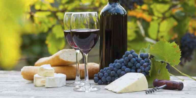 5 vinos mexicanos que te sorprenderán por su sabor