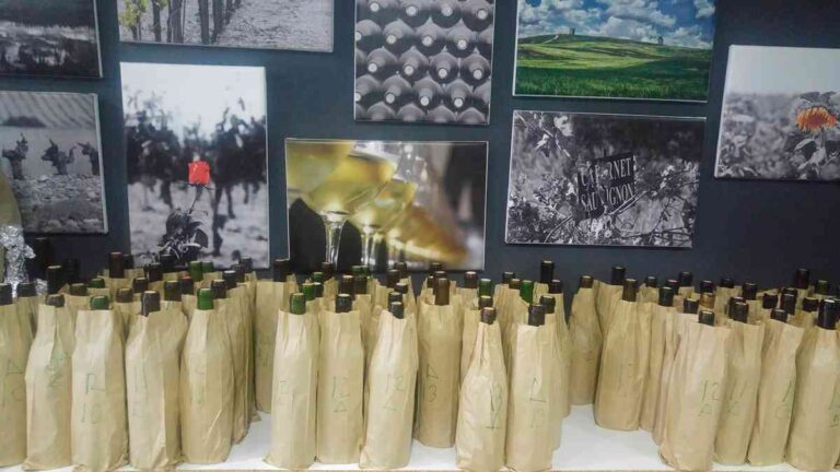 Comienza la vendimia y estos son los vinos que no puedes pasar por alto