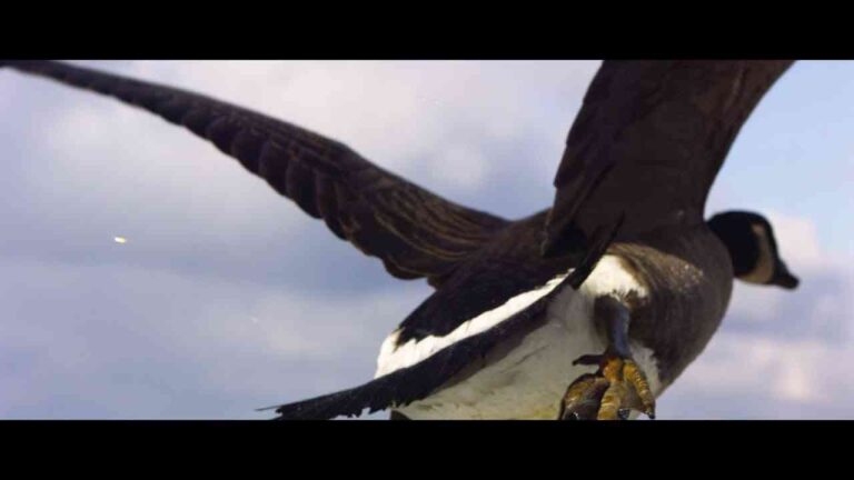 &Rosàs reinterpreta el mítico anuncio “Vuelve a casa por Navidad” de El Almendro