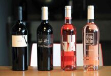 La Ruta del Vino Cigales cumple cinco años y lo celebra con la original propuesta “Castillos del Vino” 9
