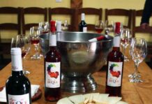 La Ruta del Vino Cigales cumple cinco años y lo celebra con la original propuesta “Castillos del Vino” 18