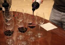 La Ruta del Vino Cigales cumple cinco años y lo celebra con la original propuesta “Castillos del Vino” 17