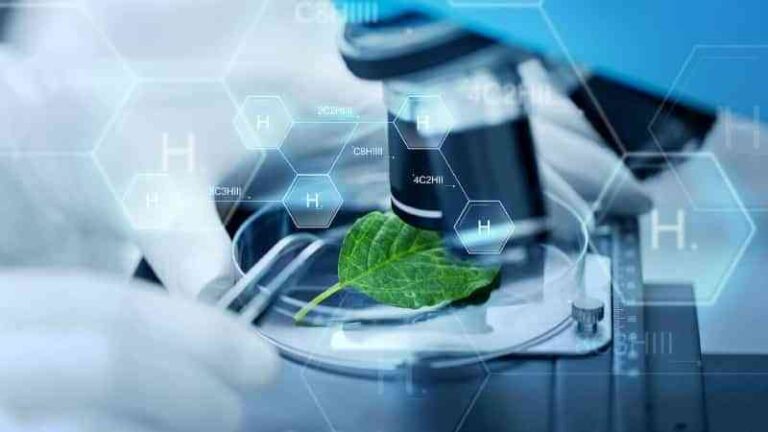 Hidrógeno verde: el combustible del futuro