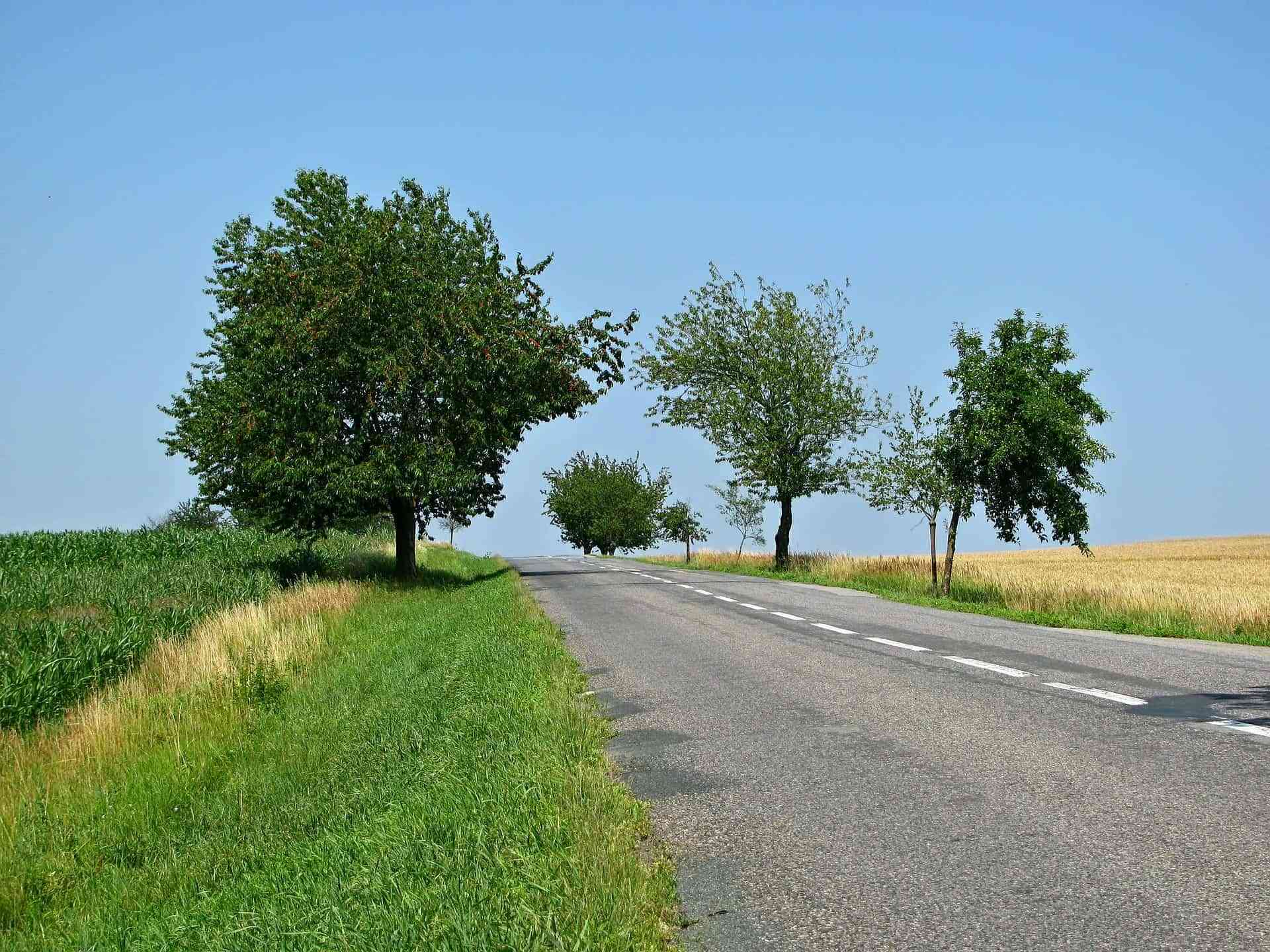 Consejos a la hora de conducir por carreteras secundarias