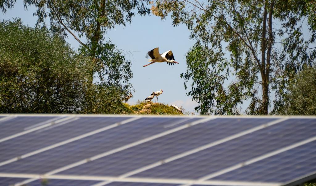Diez datos que demuestran que la energía solar es una oportunidad para España