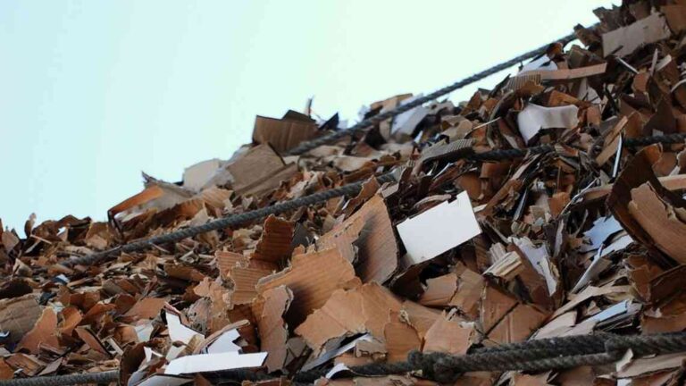 Los costes económicos, ambientales y sociales del Black Friday