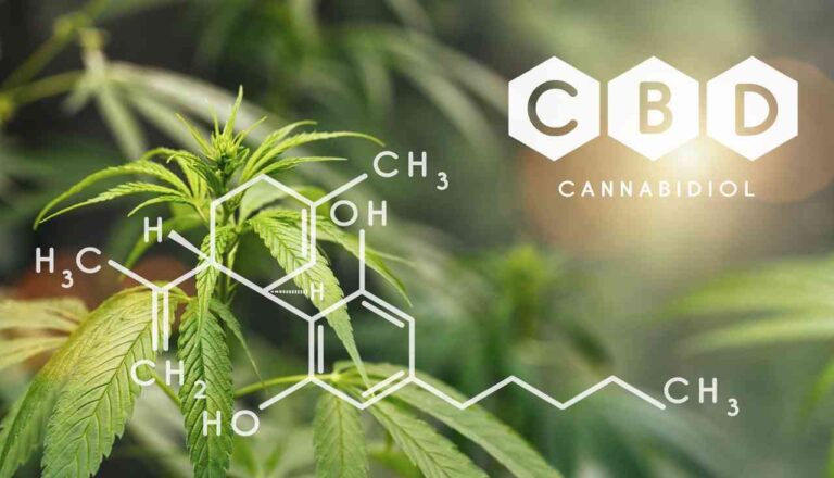 ¿Cómo vender CBD legal?