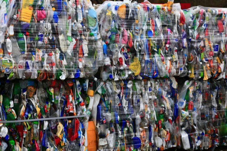 La Realidad Detrás de las Botellas de Plástico: Un Estudio Revela Datos Desalentadores