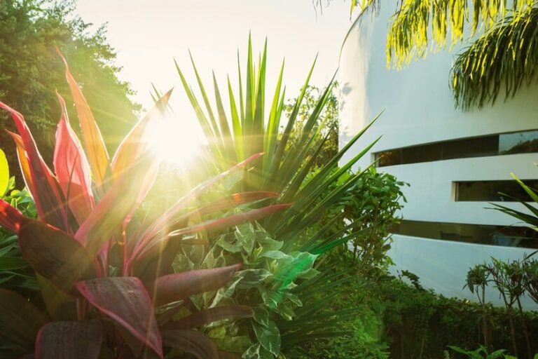 Lidl arrasa con esta lámpara de jardín que no gasta electricidad y se enciende automáticamente en la oscuridad por menos de 6 euros