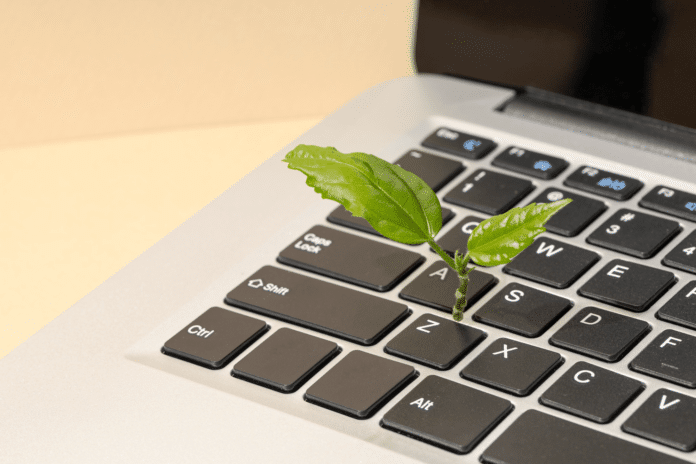 Marketing M presenta las estrategias más efectivas de marketing verde para empresas