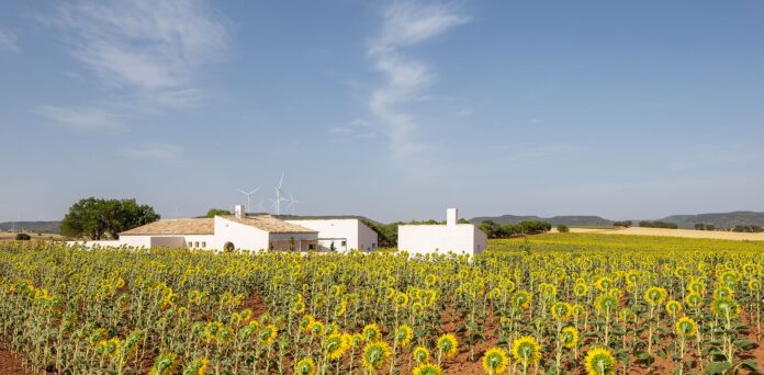 La 'Casa de Campo' de Zafra de Záncara (Cuenca), Premio COACM Arquitectura Obra Nueva Vivienda