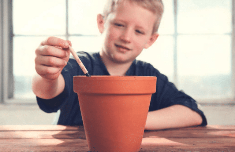 SproutWorld propone pequeños cambios con grandes impactos: Inspiración para una sociedad más ecológica