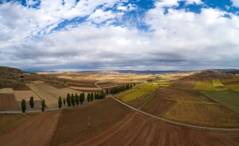 ADEL señaliza tres rutas en el territorio de la candidatura de Sigüenza y su comarca a Patrimonio Mundial