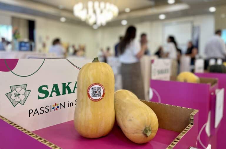 Calabaza nacional 365 días al año, clave para el aumento de consumo y nuevas oportunidades de negocio