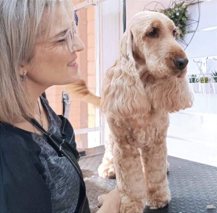 Estreno de la nueva página web de Mascotas - Peluquería y Estilismo Canino