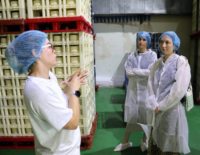 FECOMA y la Cátedra de Economía Social de la UCM muestran cómo emprender desde la economía social a estudiantes internacionales