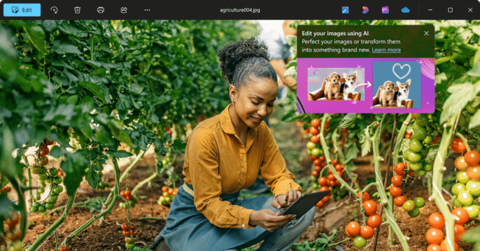 Microsoft Photos introduces even more AI editing capabilities with Microsoft Designer