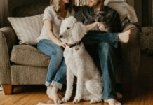 Nueva Ley de Bienestar Animal en España: Un paso hacia la protección integral