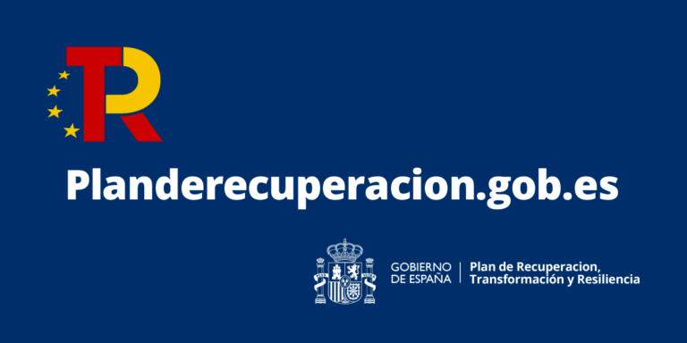 ¿Qué son los PERTE?