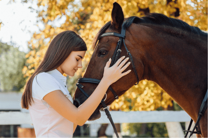 Bifeedoo, aliado en la prevención de problemas digestivos en caballos con su pienso ecológico