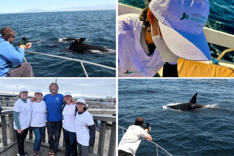La Fundación Jiménez Díaz, a la vanguardia de la investigación aplicada a la conservación marina y la salud pública