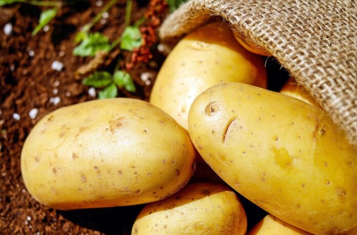 Productos Monti refuerza su compromiso con la agricultura sostenible para garantizar la máxima calidad en sus productos