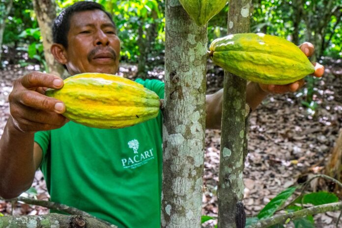 Paccari empresa responsable: prácticas que priorizan el bienestar económico, social y ambiental