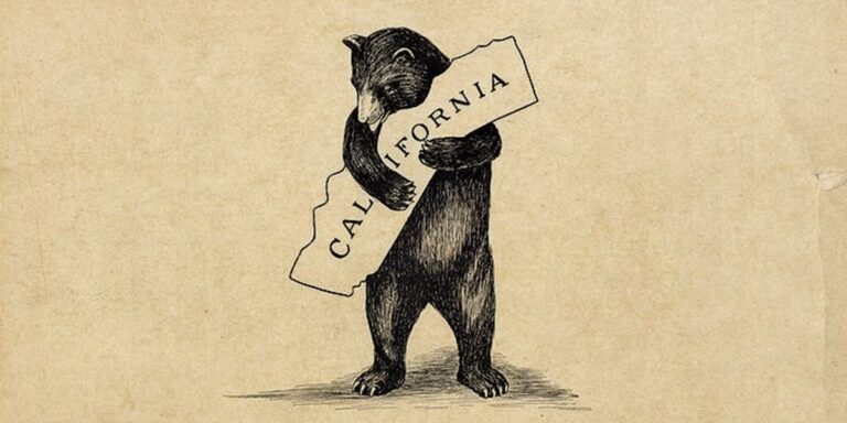 Court to California: Try a Privacy Law, Not Online Censorship