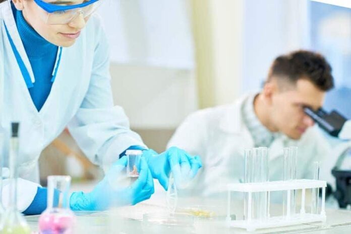 Un proyecto sobre el impacto de la cúrcuma en el eje cerebro-intestino, ganador de los premios Isanidad y Herbalife