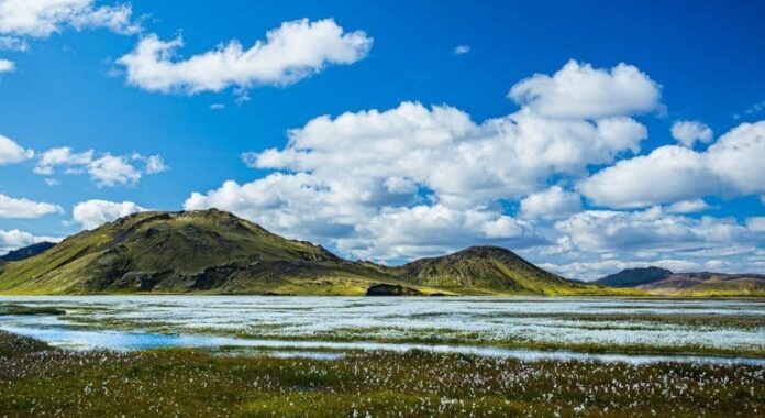 Invertir en aire limpio salva vidas y combate el cambio climático