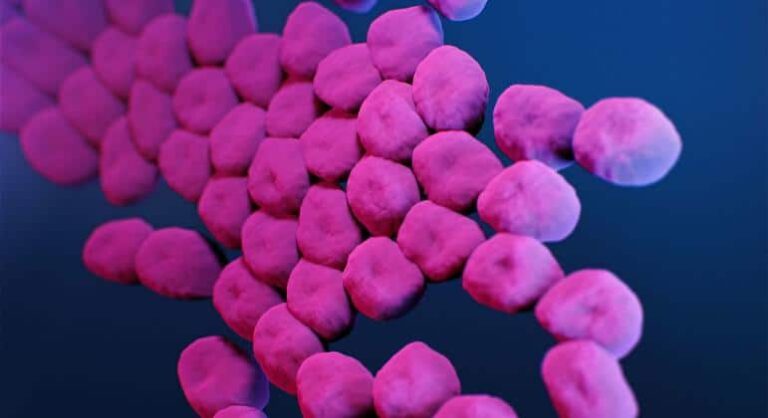 Asesina silenciosa: ¿Qué es la resistencia antimicrobiana?