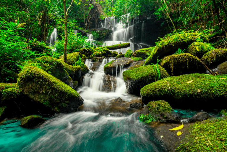 Atos galardonada por quinto año consecutivo con la Medalla Platino de EcoVadis por su compromiso con la sostenibilidad