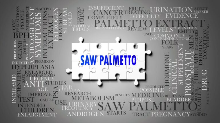 Saw Palmetto, de Serenoa Repens, potencia la salud prostática, urinaria y hormonal en hombres y mujeres