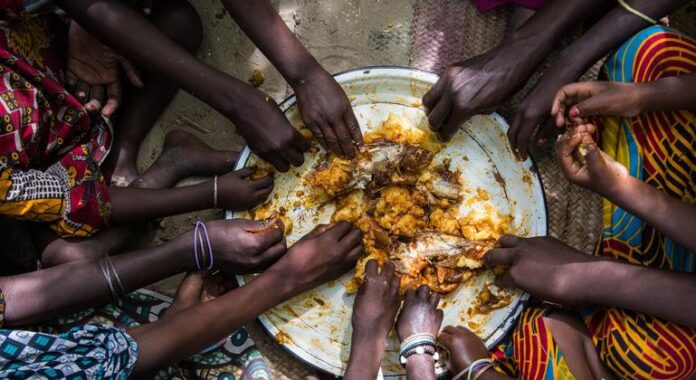 La alimentación es un derecho humano: la ONU llama a trabajar para que todos lo ejerzamos